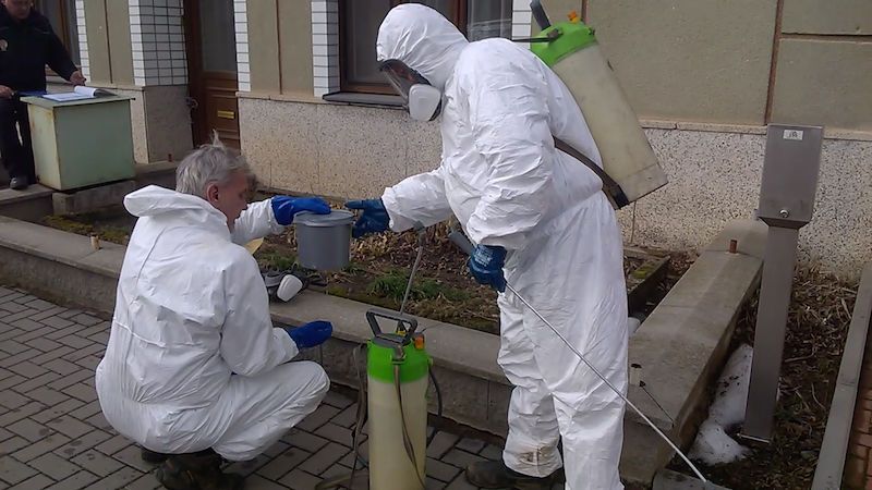 Evropa prochází nejničivější epidemií ptačí chřipky v historii